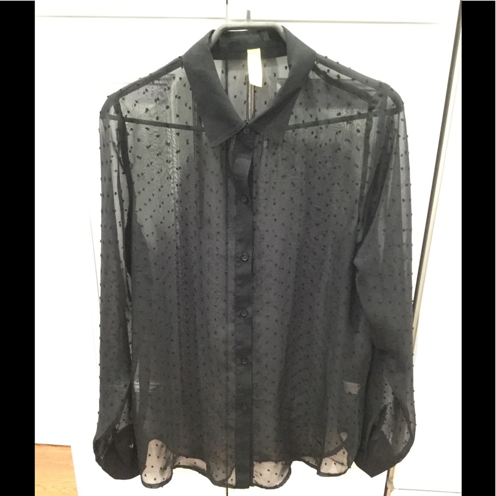 Shear black button down blouse